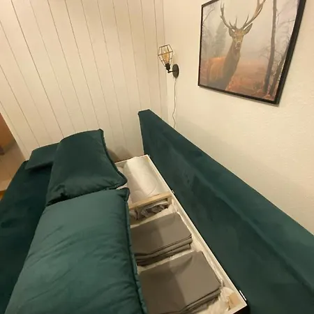 Am Wasserfall Mit Sauna & Top-lage Apartment Feldberg (Baden-Wurttemberg)