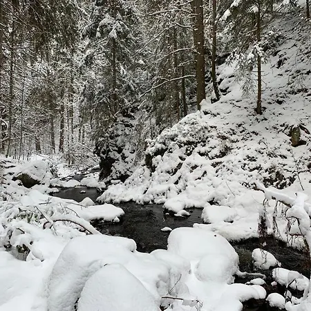 דירה Am Wasserfall Mit Sauna & Top-lage פלדברג