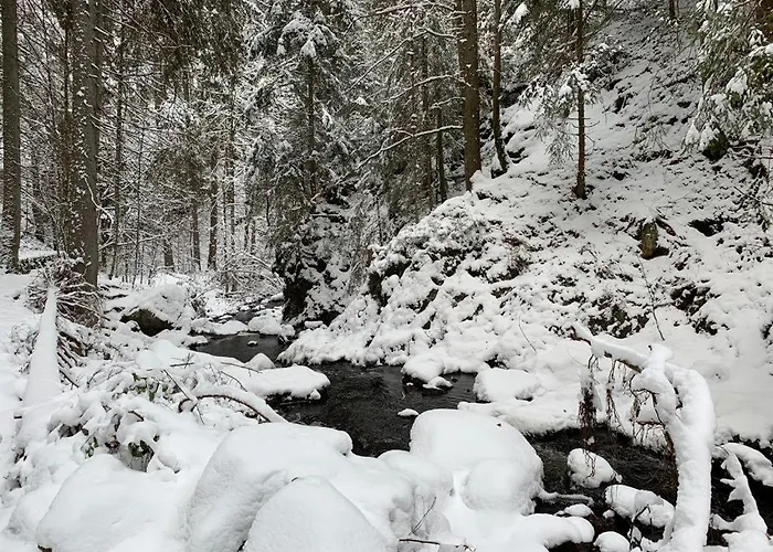 شقة Am Wasserfall Mit Sauna & Top-lage فيلدبرج
